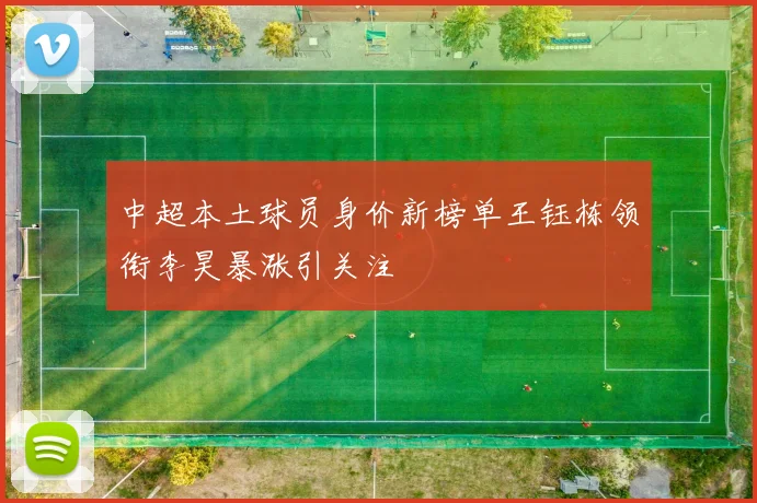 中超本土球员身价新榜单王钰栋领衔李昊暴涨引关注